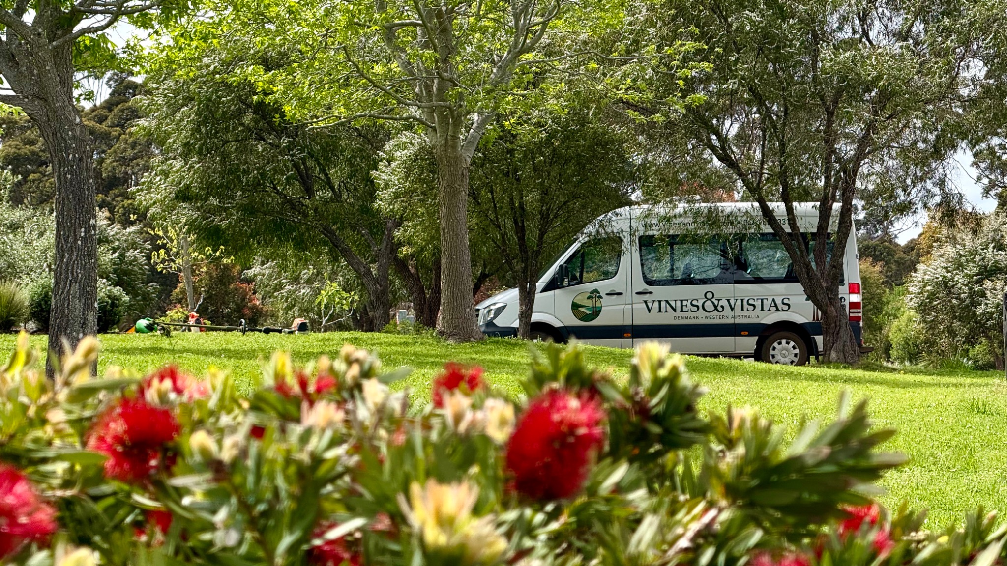The Vines and Vistas van among leafy trees and red flowers in Denmark